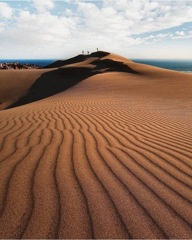 Patara